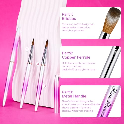 Kolinsky Nail Art Brush Set - 4 Pieces (#6 #8 #12 #14)