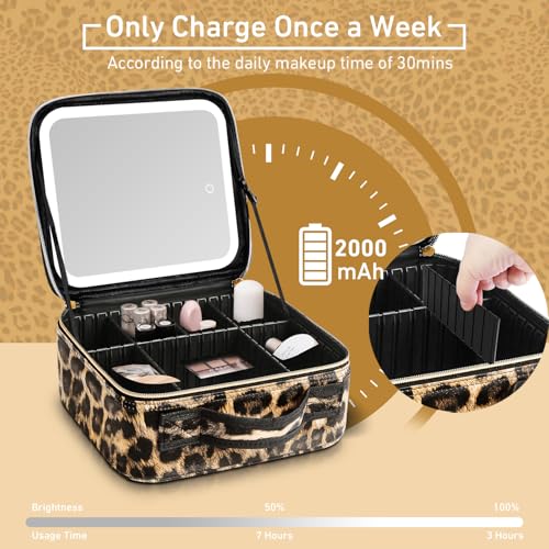 LED Makeup Case with Light Mirror & Adjustable Dividers