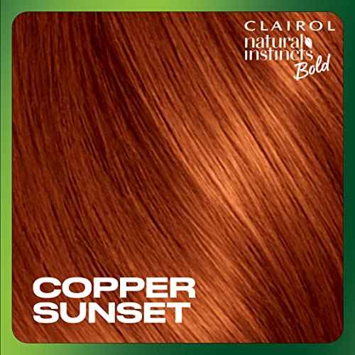 Clairol Natural Instincts Bold Permanent Hair Dye, C64 Copper Sunset Hair Color, Pack of 1