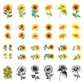 Sunflowers Temporary Tattoo Stickers Waterproof 24-Pack