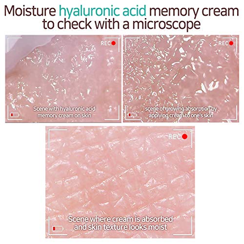 Elizavecca Moisture Hyaluronic Acid Memory Cream 100 g