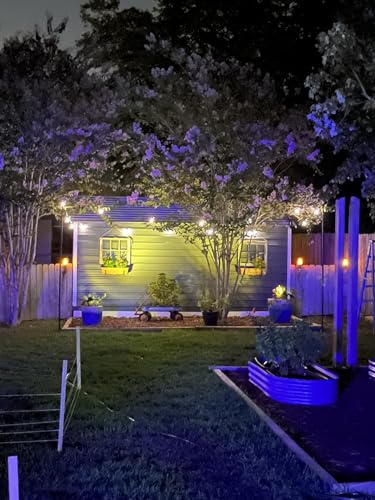 Brightech Ambience Pro Solar Powered Outdoor String Lights, 27 ft Commercial Grade Waterproof Patio Lights, 12 Edison Bulbs, Shatterproof LED String Lights for Outside, Porch - 1W Soft White