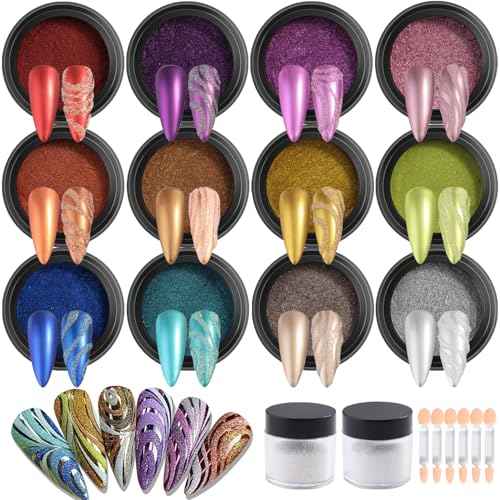 Chrome Nail Powder Set 12 Colors Gold Silver Bronze Chrome Powder for Nails Metallic Nail Glitter Red Green Blue Mirror Rub Pigment with 2PCS Extra Fine White Sugar Powder Nail Design