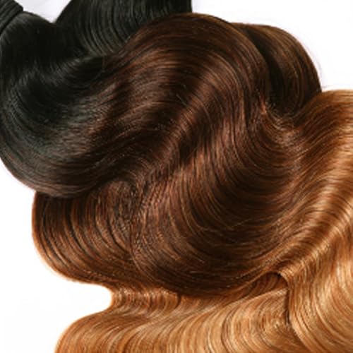 Hailookmey 10 Inch Ombre Brown Blonde Body Wave Human Hair Bundles 100g