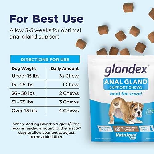 Glandex Anal Gland Soft Chew Treats with Pumpkin for Dogs Digestive Enzymes, Probiotics Fiber Supplement for Dogs Boot The Scoot (Peanut Butter Chews, 30ct)