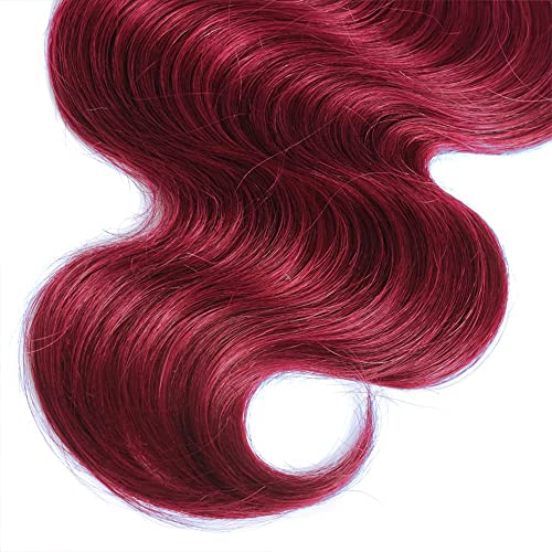 Virgin Hair Bundles 1B/99J Ombre Burgundy Body Wave 8-12 Inch
