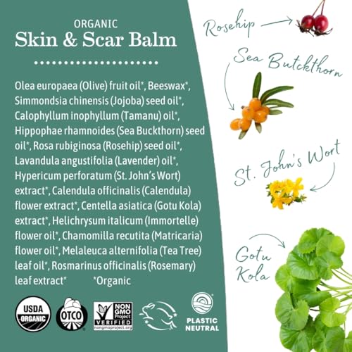Earth Mama Organic Skin & Scar Balm, 2 Pack (2 fl oz)