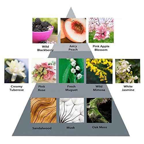 Perry Ellis Fragrances 360 for Women Eau de Parfum Spray, Purple, 6.8 Fluid Ounce