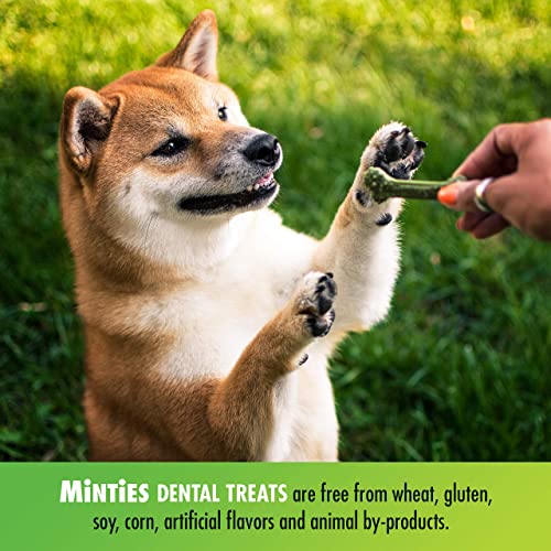 Minties Dental Chews for Dogs, 80 Count, Vet-Recommended Mint-Flavored Dental Treats for Tiny/Small Dogs 5-24 lbs, Dental Bones Clean Teeth, Fight Bad Breath, and Removes Plaque and Tartar