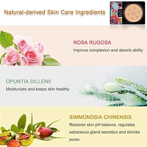 NUIBO Air Cushion CC Cream Mushroom Head, Moisturizing Concealer Makeup Base, Primer Liquid Foundation Long Lasting with Two Mushroom Makeup Sponges ¡¼Natural¡½