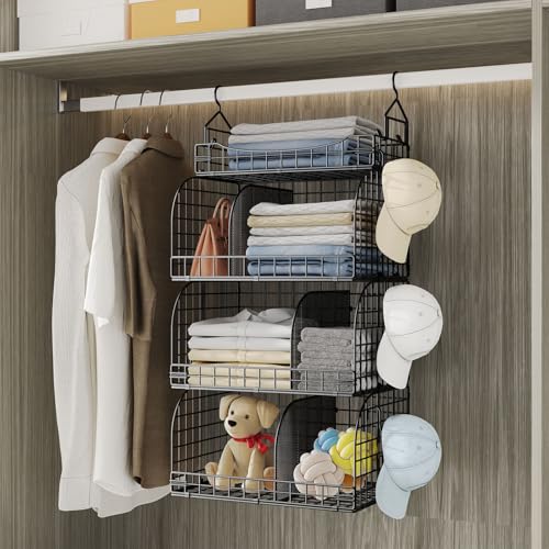 HapiRm 4-Tier Hanging Closet Organizer with Dividers