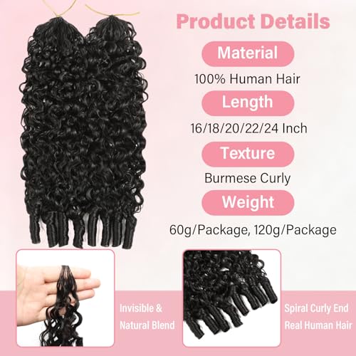 Mslily Burmese Curly Crochet Human Hair 24in 120g Natural Black - Miracle Knots