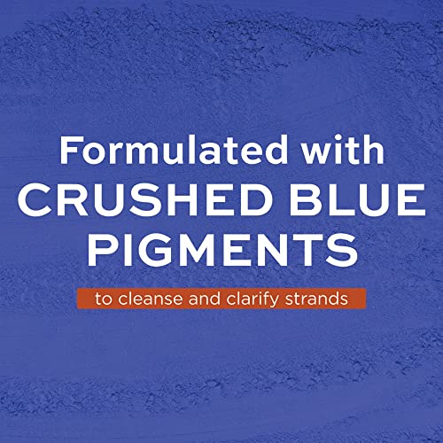 John Frieda Blue Crush for Brunettes Blue Shampoo, 8.3 Fl Ounces, Neutralizes Brassy Tones, Toning Shampoo for Color Treated and Natural Brunette Hair
