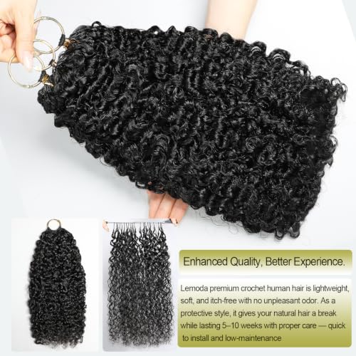 Lemoda Burmese Curly Human Crochet Hair 14" 120g