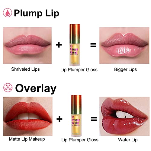 LAIKME Lip Plumper Gloss - Clear Plumping Lip Enhancer