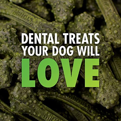 Minties Dental Chews for Dogs, 40 Count, Vet-Recommended Mint-Flavored Dental Treats for Tiny/Small Dogs 5-24 lbs, Dental Bones Clean Teeth, Fight Bad Breath, and Removes Plaque and Tartar