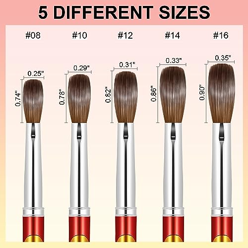 KEMEISI Acrylic Nail Brush Size 14, 100% Pure Kolinsky Nail Art Brushes for Acrylic Application, Sturdy Handle Oval Shaped Acrylic Powder Nail Design Tools for Professional Manicure DIY