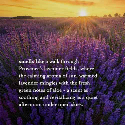 A La Maison de Provence Natural Aluminum-Free Deodorant Traditional French Milled Formula | Long Lasting Safe and Effective | Free of SLS, Parabens and Sulfates (3 x 2.4 oz, Lavender Aloe)