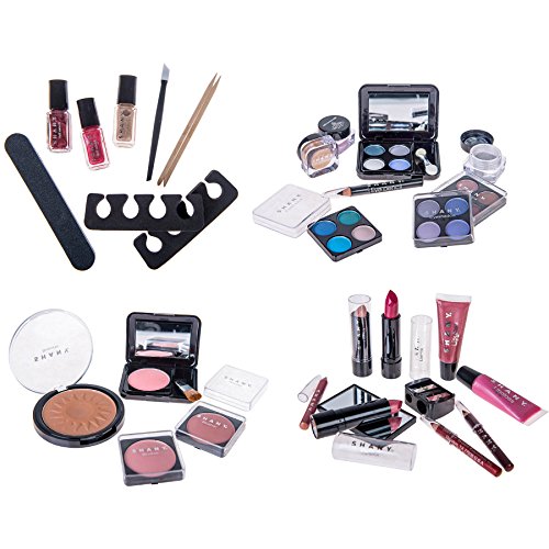 SHANY Carry All Makeup Train Case with Brushes, Palettes & Organizer