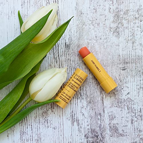 L'Erbolario Olive Tea Tree Lip Gloss – Moisturizing Lip Balm