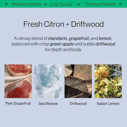 OffCourt - Facial Hydrator and Performance Body Spray and Exfoliating Soap in Fresh Citron + Driftwood Scent