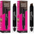 EVERPRO Gray Away Root Touchup Quick Stick, Black/Dark Brown, 0.1 Oz (Pack of 2)