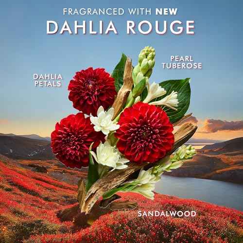 Moroccanoil Shower Gel Body Wash