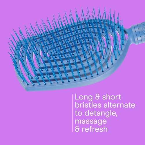 Conair Scalp Care Detangling Hairbrush Blue Aura - Wet & Dry Use - Pack of 1