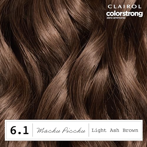 Clairol ColorStrong Permanent Hair Dye 6.1 Light Ash Brown Ammonia-Free 6.6 Oz