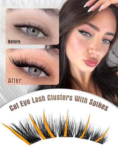Zegaine Cat Eye Lash Clusters LC Curl 6-20MM Pre-Mapped