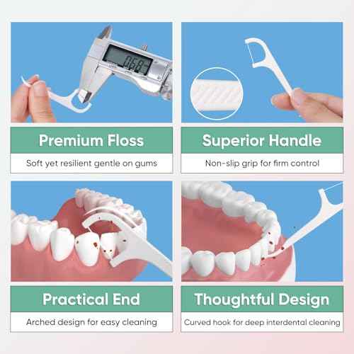 300 Dental Floss Picks, 30 Packs Dental Flossers with Floss Pick Case, Stocking Stuffers Adults, Bulk Stocking Stuffers for Adults, Party Favors Adult