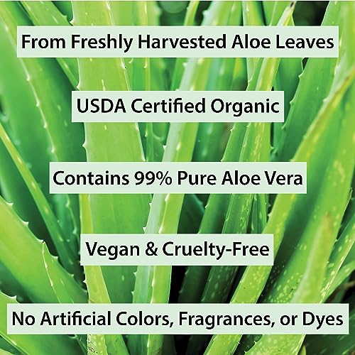 Organic Aloe Vera Gel 12 oz – USDA Certified Pure Skin & Hair Care