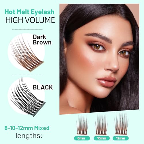 Dark Brown Cluster Lashes B Curl 8-10-12mm Mixed Volume