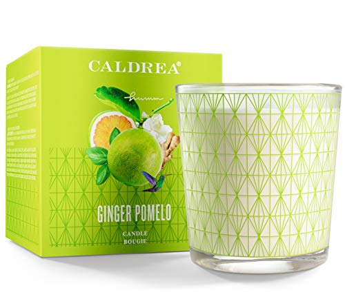 Caldrea Scented Candle, Made with Essential Oils and Other Thoughtfully Chosen Ingredients, 45 Hour Burn Time, Ginger Pomelo Scent, 8.1 oz (Pack of 2)