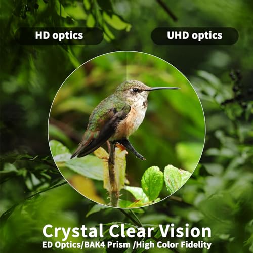 10x42 UHD Binoculars with ED Glass for Adults and Kids,High Powered Large View Binoculars with Clear Low Light Vision - Lightweight Waterproof Binoculars for Bird Watching Hunting Stargazing