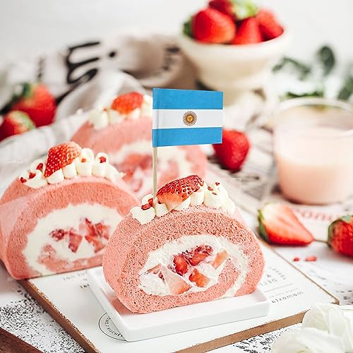 Argentina Flag Mini Toothpick Flags 100PCS for Cupcakes & Cocktails - Newkita