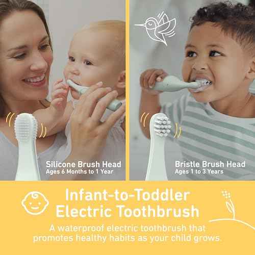 Pure Enrichment PureBaby Infant-to-Toddler Electric Toothbrush - Waterproof Baby & Toddler Toothbrush with Silicone & Bristle Heads, Sonic Vibration, & Timer - Ages 6 Mo-3 Yrs (Sage Green)