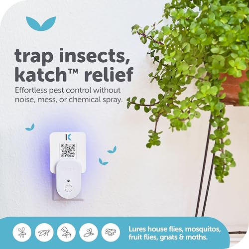 KATCHY Indoor Plug-in Insect Trap - Catcher & Killer for House Flies, Mosquitoes, Fruit Flies, Gnants, and Mosquitos - Chemical-Free, Eco-Friendly, Easy to Clean (1 Pack with 4 Glue Boards)