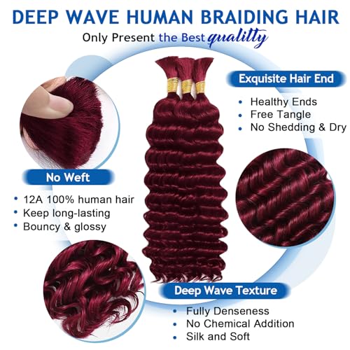 Human Braiding Hair Boho Deep Wave 110g 3 Bundles #99J