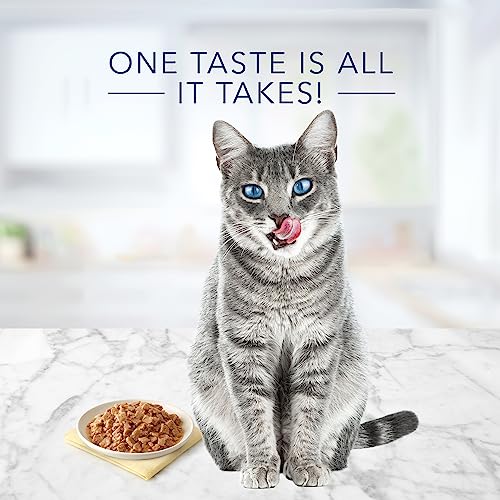 Blue Buffalo Tastefuls Natural Wet Food for Adult Cats, Flaked Chicken Entrée in Gravy, 3-oz. Cans, 24-Count Multi-Pack