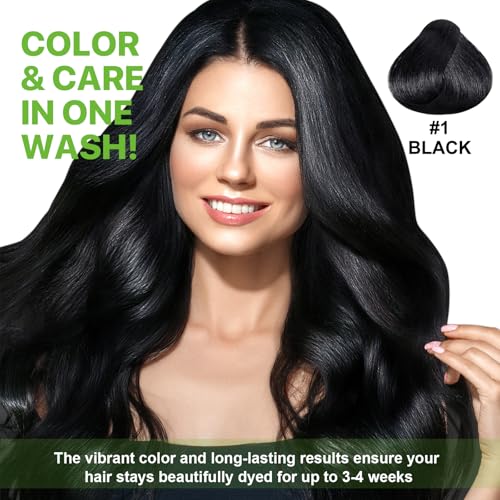 Instant Hair Dye Shampoo Black, 500ml Hair Color Shampoo for Gray Hair Coverage Nature Herbal 3 in 1 Hair Dye Shampoo for Men and Women, Instant Color Shampoo Long Lasting 16.9 Fl Oz