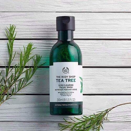 Roti Metrey TBS Tea Tree Skin Clearing Facial Wash 250Ml