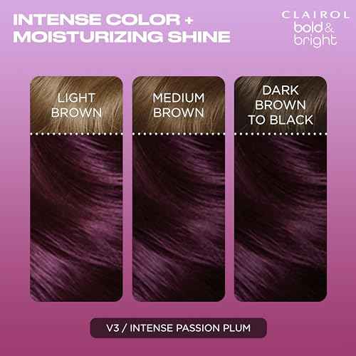 Clairol Bold & Bright Permanent Hair Dye, V3 Intense Passion Plum Hair Color, Pack of 1