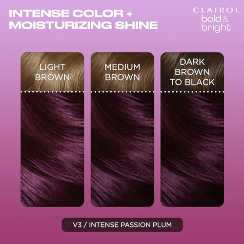 Clairol Bold & Bright V3 Intense Passion Plum Permanent Hair Dye
