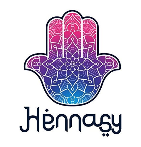 Henna Applicator Bottle 1oz with 4 Stainless Steel Tips