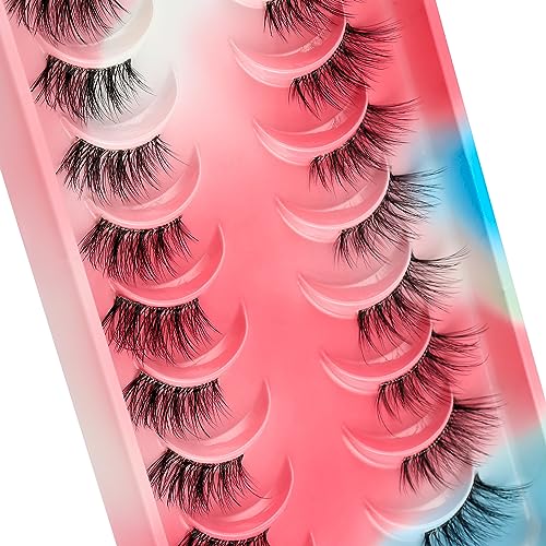 HICOCU Half False Eyelashes Clear Band Russian Strip Lashes D DD Curl Fluffy Mink Lashes Natural Wispy Mink Eye Lashes Pack Reusable Fake Eyelashes Extension 10 Pairs¡¦ (HAY-ZM5)