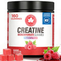GABE SUNNYBEARS Raspberry Creatine Monohydrate Gummies 5000mg - Large Bottle, 160 Count, NSF Certified, Muscle & Strength Support for Men & Women