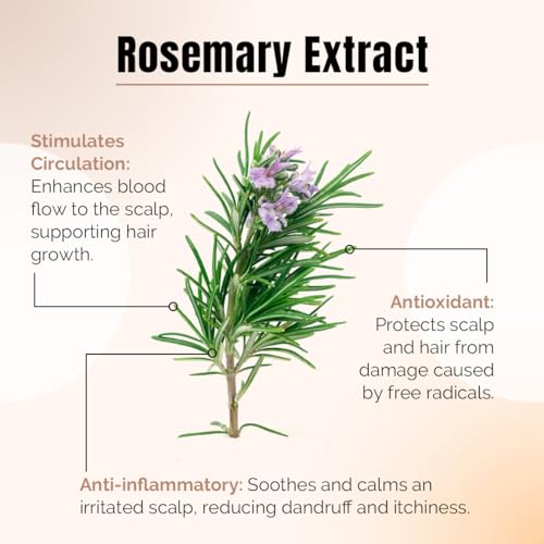 REVIVV Exfoliating Scalp Scrub Shampoo, Himalayan Salt Scrub to Cleanse Scalp, Exfoliator with Rosemary & Tea Tree Oil to Remove Buildup, Reduce Flaking and Promote Healthier, Fuller Hair, 6.7oz