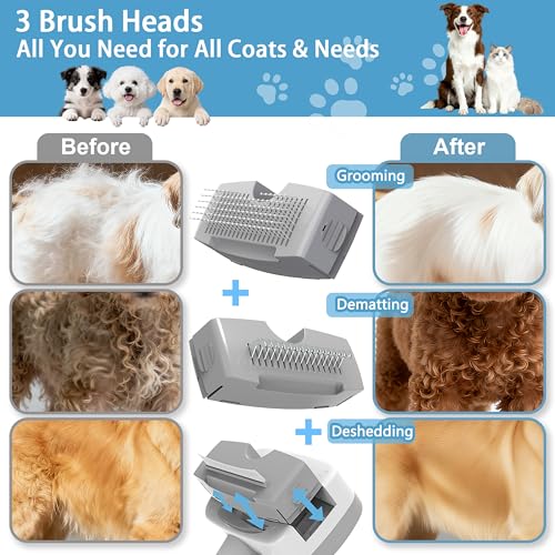 5-in-1 Pet Steam Brush for Dogs & Cats - Deshedding & Dematting