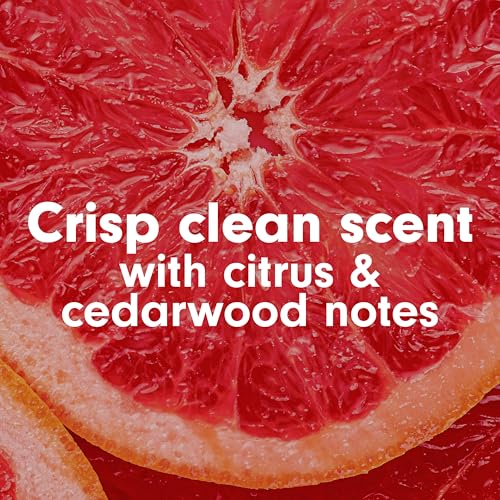 Softsoap Antibacterial Liquid Hand Soap, Crisp Clean, 11.25 fl oz